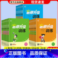 数学 [北师版] 小学三年级 [正版]通城学典暑期升级训练一升二升三升四升五升六年级小升初下册语文数学英语人教版暑假衔接