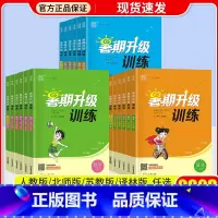 英语 [人教版] 小学升初中 [正版]通城学典暑期升级训练一升二升三升四升五升六年级小升初下册语文数学英语人教版暑假衔接