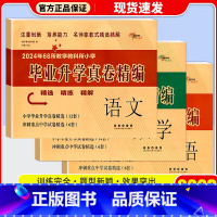 共3本 语文+数学+英语 人教版 [正版]2023 名校毕业升学真题精编一年级二三年级四五年级六年级上册下册语文数学英语