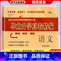 小学毕业升学 真题精编 语文 [正版]2023 名校毕业升学真题精编一年级二三年级四五年级六年级上册下册语文数学英语人教