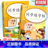 [2本套]同步练字帖 2上+2下 二年级上 [正版]小学生二年级上册下册同步练字帖彩绘版小学控笔训练字帖练字小学生硬笔书