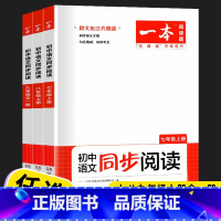 一本 语文同步阅读 九年级 [正版]2023版开心初中语文同步阅读七八年级上册九年级全一册789年级课堂同步阅读