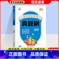 数学 小学升初中 [正版]2023新版53曲一线小升初总复习真题刷语文数学英语五六年级下适用全国通用53小学真题刷小升初