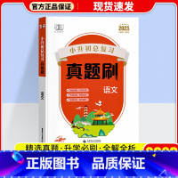 语文 小学升初中 [正版]2023新版53曲一线小升初总复习真题刷语文数学英语五六年级下适用全国通用53小学真题刷小升初