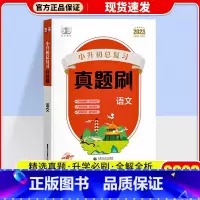 语文 小学升初中 [正版]2023新版53曲一线小升初总复习真题刷语文数学英语五六年级下适用全国通用53小学真题刷小升初