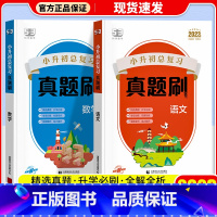 语文+数学 小学升初中 [正版]2023新版53曲一线小升初总复习真题刷语文数学英语五六年级下适用全国通用53小学真题刷