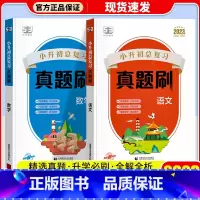 语文+数学 小学升初中 [正版]2023新版53曲一线小升初总复习真题刷语文数学英语五六年级下适用全国通用53小学真题刷
