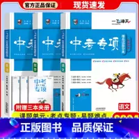 中考专项[语文+数学+英语] 初中通用 [正版]科目自选一飞冲天 中考专项 中考语文数学英语物理化学政治历史地理天津初中