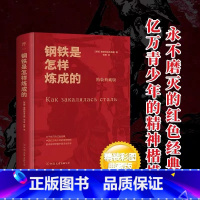 钢铁是怎样炼成的 [正版]简爱书籍原著夏洛蒂勃朗特自传体小说英文译本完整版无删减初中高中生年级课外阅读经典书目世界名著文