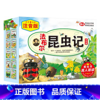 法布尔昆虫记[注音美绘版全10册] [正版]法布尔昆虫记绘本 全套10册 儿童彩图版平装 高苏珊娜著 7-12岁小学生课