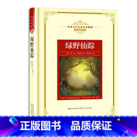 绿野仙踪 [正版]世界文学名著名译典藏 全译插图本 大卫科波菲尔飘猎人笔记基督山伯爵现当代文学名著书籍排行榜高初中生课外
