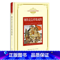 钢铁是怎样炼成的 [正版]世界文学名著名译典藏 全译插图本 大卫科波菲尔飘猎人笔记基督山伯爵现当代文学名著书籍排行榜高初