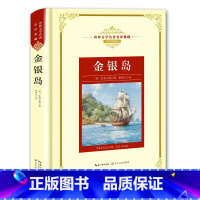 金银岛 [正版]世界文学名著名译典藏 全译插图本 大卫科波菲尔飘猎人笔记基督山伯爵现当代文学名著书籍排行榜高初中生课外阅