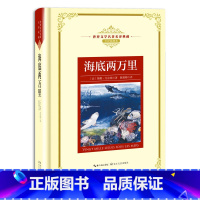 海底两万里 [正版]世界文学名著名译典藏 全译插图本 大卫科波菲尔飘猎人笔记基督山伯爵现当代文学名著书籍排行榜高初中生课