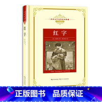 红字 [正版]世界文学名著名译典藏 全译插图本 大卫科波菲尔飘猎人笔记基督山伯爵现当代文学名著书籍排行榜高初中生课外阅读