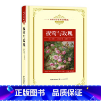 夜莺与玫瑰 [正版]世界文学名著名译典藏 全译插图本 大卫科波菲尔飘猎人笔记基督山伯爵现当代文学名著书籍排行榜高初中生课