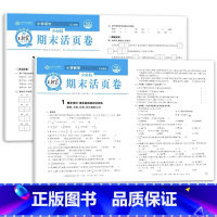 全2册-语文(人教版)+数学(苏教版)期末活页卷 六年级上 [正版]王朝霞试卷三四五六年级上册下册王朝霞期末活页卷一页一