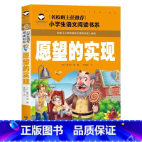 愿望的实现 [正版]小学生一二年级阅读课外书书籍注音版儿童读物睡前故事书爱的教育中国神话故事昆虫记小王子七色花绿野仙踪父