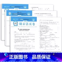 全3册-语文+数学+英语(人教版) 期末活页卷 四年级下 [正版]王朝霞试卷三四五六年级上册下册王朝霞期末活页卷一页一练