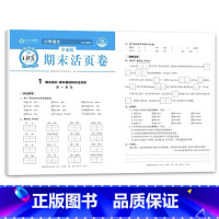 语文 期末活页卷(人教版) 六年级下 [正版]王朝霞试卷三四五六年级上册下册王朝霞期末活页卷一页一练全套小学生语文数学英