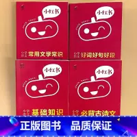全4册-[语文]基础知识+必背古诗文+常用文学常识+作文好词好句好段 小学通用 [正版]小学口袋书小红本1-6年级基础知
