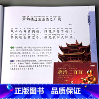 亲亲宝贝丛书 唐诗三百首 [正版]国学经典启蒙儿童三字经弟子规四大名著幼儿园注音版早教书籍古诗词朗诵读物绘本唐诗宋词三百