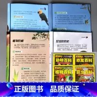 全4册-送给孩子的科普探索 [正版]小学生课外阅读全套思维游戏科探索普百科全书动物植物恐龙猜字谜大全看图猜成语书中华成语