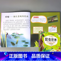 彩图注音版 儿童百科 -昆虫世界 扫码有声伴读 [正版]海洋昆虫植物动物世界百科全书全套儿童图书注音版绘本送给孩子的科普