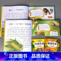 全2册-动物世界+植物世界 [正版]海洋昆虫植物动物世界百科全书全套儿童图书注音版绘本送给孩子的科普育儿书籍中国少年幼儿
