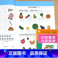 分类整理与找规律 小学通用 [正版]分类整理与找规律小学生数学基础天天练一年级下册专项训练上下册同步练习册专项思维书看图