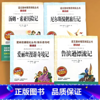 全4册-6年级下册鲁滨逊漂流记+汤姆索亚历险记+尼尔斯骑鹅旅行记+爱丽丝漫游奇境记 [正版]小学生语文课外阅读的书籍全套