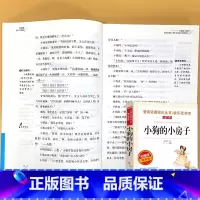 二年级上册 爱阅读 小狗的小房子 [正版]小学生语文课外阅读的书籍全套二三四五六年级上册下册稻草人安徒生格林童话小英雄雨