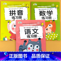 全3册-拼音+数学+语文练习册 [正版]拼音笔顺偏旁汉字描红300字写字描红本天天练全套幼小衔接一日一练幼儿园中班大班5