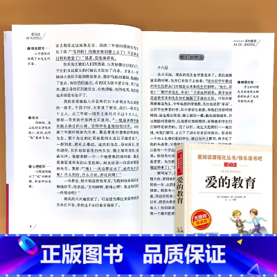 六年级上册 爱阅读爱的教育 [正版]小学生语文课外阅读的书籍全套二三四五六年级上册下册稻草人安徒生格林童话小英雄雨来四大