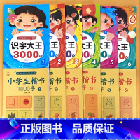 全6册识字大王3000字+全6册楷书1000字 小学通用 [正版]识字大王3000字小学生语文识字宝典楷书1000字铅笔