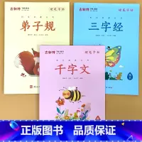 全3册-古新特 硬笔字帖 三字经+弟子规+千字文 [正版]古新特硬笔字帖国学经典三字经弟子规千字文小学生传统文化练字本每