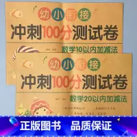 全2册-数学10+20以内加减法 [正版]幼小衔接冲刺100分测试卷汉语拼音语言数学试卷一日一练幼儿园中大班练习册10/