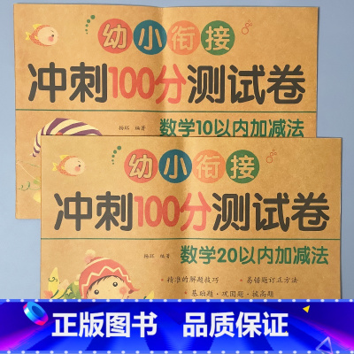 全2册-数学10+20以内加减法 [正版]幼小衔接冲刺100分测试卷汉语拼音语言数学试卷一日一练幼儿园中大班练习册10/