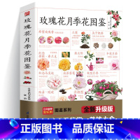 [正版]玫瑰花月季花图鉴700多种的鉴赏养护指南日本育种专家园艺大