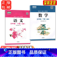 五年级语文数学B版 小学通用 [正版]2023春新版深圳小学知识与能力训练语文人教版数学北师版英语牛津版一二三四五六年级