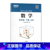 五年级下册数学A版 小学通用 [正版]2023春新版深圳小学知识与能力训练语文人教版数学北师版英语牛津版一二三四五六年级