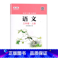 语文 三年级上 [正版]2023秋 深圳 语文知识与能力训练3三年级上册 深圳小学语文人教版同步训练作业知能知训扫码获取