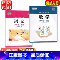 语文数学[两本] 小学六年级 [正版]六年级下册语文数学知识与能力训练 深圳出版社