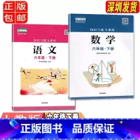 语文数学[两本] 小学六年级 [正版]六年级下册语文数学知识与能力训练 深圳出版社