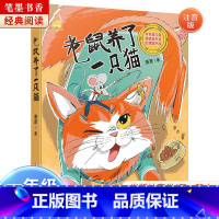 《童话梦工场:老鼠养了一只猫》-浙江少年儿童出版社 [正版]阅美湖湘笔墨书香经典阅读一年级的啰唆注音版亲爱的小狼大傻的新