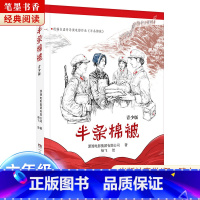《半条棉被》-湖南少年儿童出版社 [正版]阅美湖湘笔墨书香经典阅读六年级逆风飞翔中国轨道号追寻少年与海雨季的阳光半条棉被