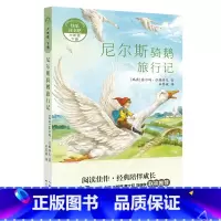 6年级《尼尔斯骑鹅旅行记》 [正版]阅美钟山一二三四五六年级读读童谣和儿歌神笔马良中国古代寓言十万个为什么西游记鲁滨逊漂