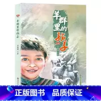 《羊群里的孩子》 [正版]内蒙古书香草原五年级上乌篷里的红浙江少年儿童出版社升旗手羊群里的孩子牧歌风雷顶上学谣暮色阿雀的