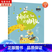 《肖定丽奇妙童话系列:神秘的朋友》-浙江少年儿童出版社 [正版]阅美湖湘笔墨书香经典阅读一年级的啰唆注音版亲爱的小狼大傻