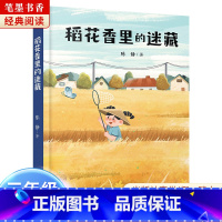 《稻花香里的迷藏》-湖南少年儿童出版社 [正版]稻花香里的迷藏湖南少年儿童出版社陈静2023阅美湖湘山西整本书阅读活动笔